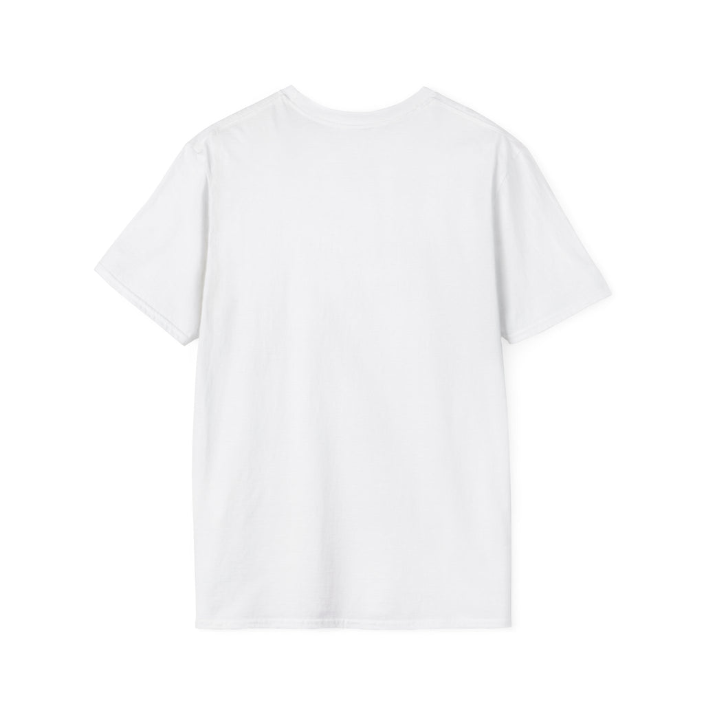 Junior developer vs Senior architect T-Shirt